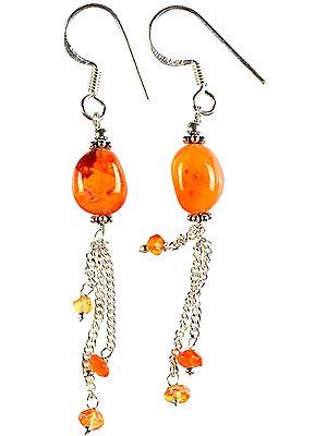 Carnelian Shower Earrings