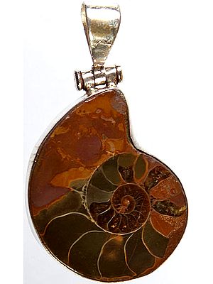 Fossil Pendant