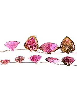 Carved Water Melon Tourmaline Shapes