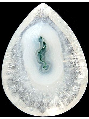 Faceted Fossil Pear (Price Per Piece)