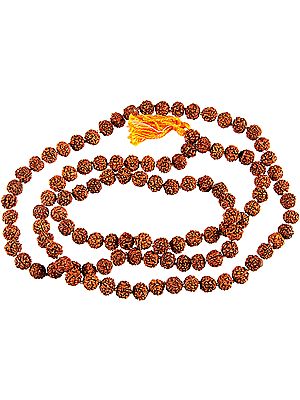 Rudraksh (Rosary) with 108 Beads for Chanting