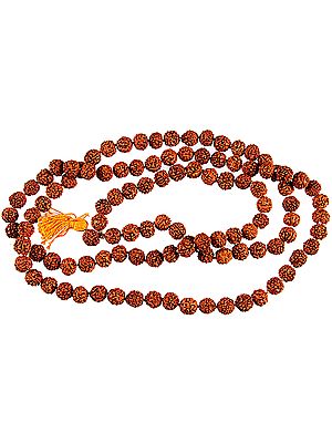 Rudraksha Rosary with 108 Beads for Chanting Mantras and Syllables