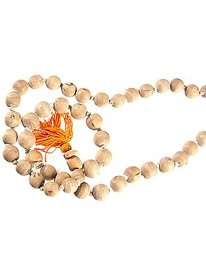 Tulsi (Holy Basil) Mala (Rosary) with 108 Beads for Chanting Mantras and Syllables
