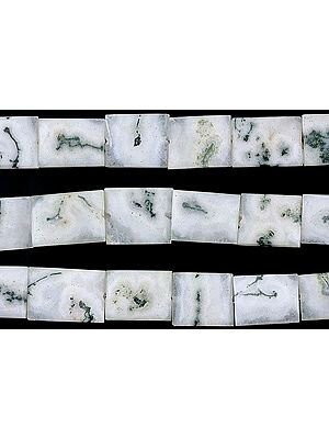 Moss Agate Chiclets