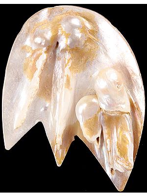 MOP (Mother of Pearl (Price Per Piece)