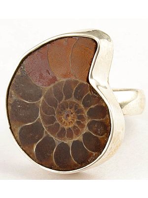 Fossil Ring