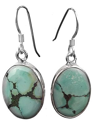 Turquoise Earrings