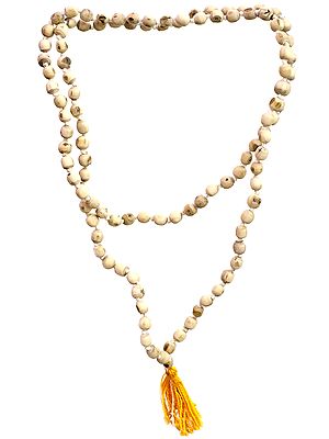 Tulsi (Holy Basil) Mala for Chanting