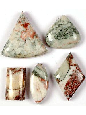 Lot of Five Side-Drilled Picture Jasper Cabochons