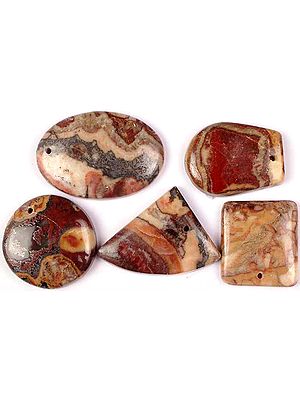 Lot of Five Top-Drilled Picture Jasper Cabochons