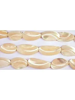 Trochid Shell Beads | Semi-Precious Gemstone Drops