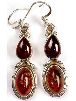 Amber & Garnet Earrings