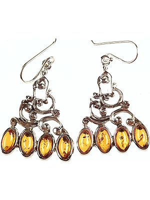 Amber Designer Earrings