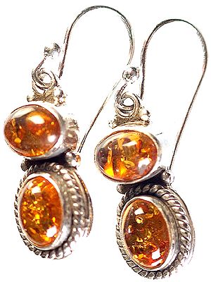 Amber Earrings