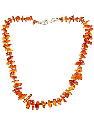 Amber Necklace
