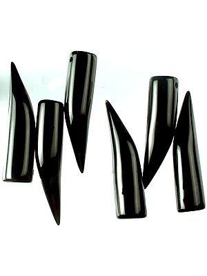 Black Onyx Claw Shaped Beads