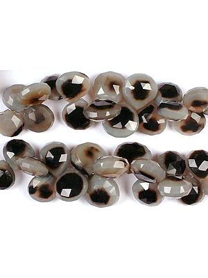 Black Onyx Faceted Briolette