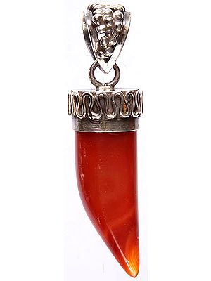 Carnelian Claw Pendant
