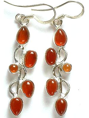 Carnelian Earrings