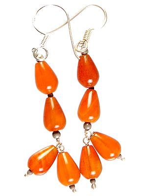 Carnelian Earrings