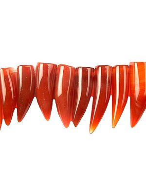 Carnelian Tiger Claws