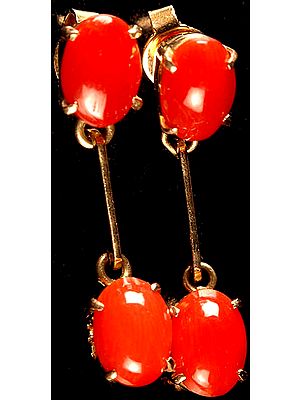 Coral Earrings