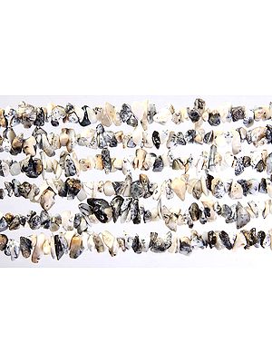 Dendrite Opal Chips