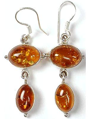 Double stone Amber Earrings