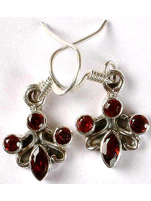 Faceted Garnet Earrings