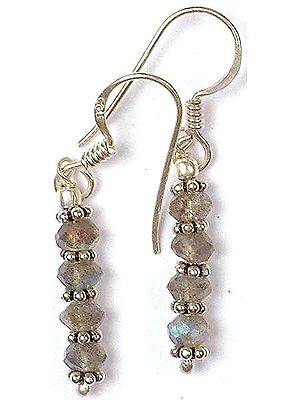 Faceted Labradorite Earrings