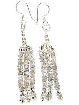 Faceted Labradorite Shower Earrings