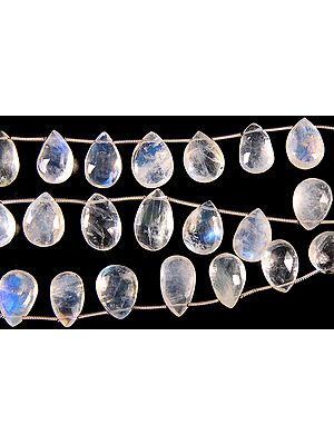 Faceted Rainbow Moonstone Briolette