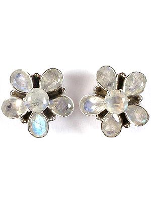 Faceted Rainbow Moonstone Post Earrings