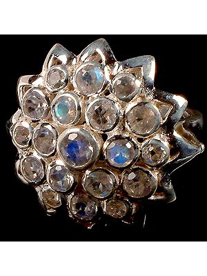 Fine Cut Rainbow Moonstone Flower