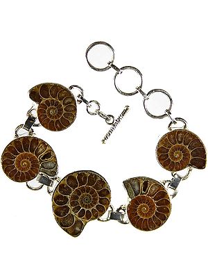 Fossil Bracelet