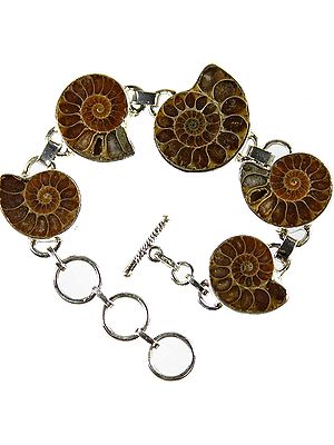 Fossil Bracelet