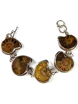 Fossil Fine Bracelet