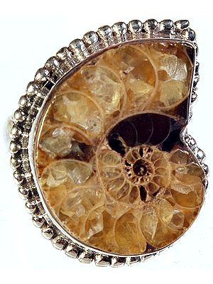 Fossil Finger Ring