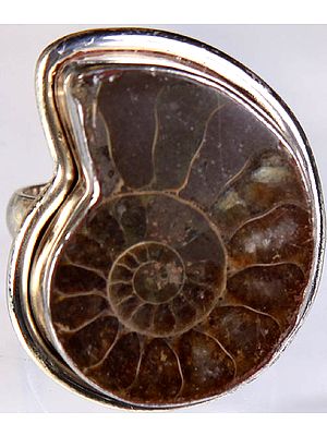 Fossil Finger Ring