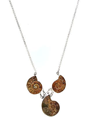 Fossil Necklace