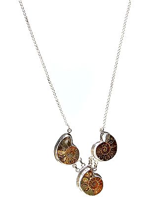 Fossil Necklace