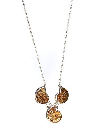 Fossil Necklace