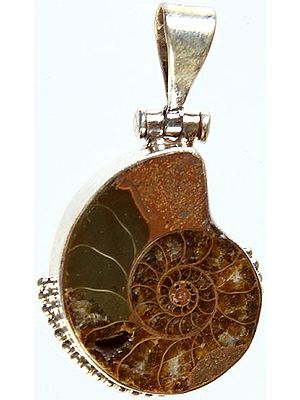 Fossil Pendant