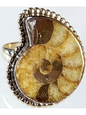 Fossil Ring