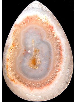 Fossil Teardrop (Price Per Piece)