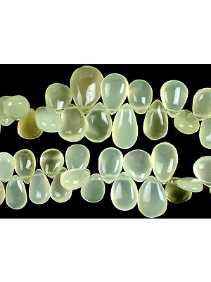 Green Chalcedony Plain Briolette