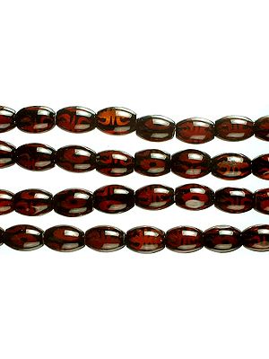 Gzi Drums with Scorpions