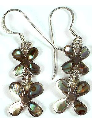 Inlay Abalone Flower Earrings