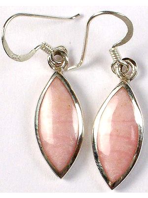 Inlay Enamel Earrings