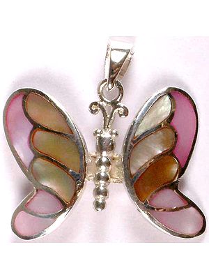 Inlay Shell Butterfly